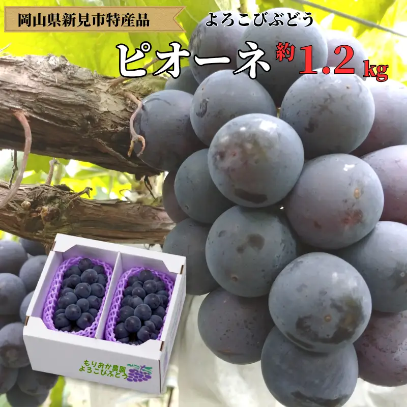 もりおか農園のよろこびぶどう ピオーネ 約1.2kg 2房 【先行予約 2026年9月上旬から順次発送】