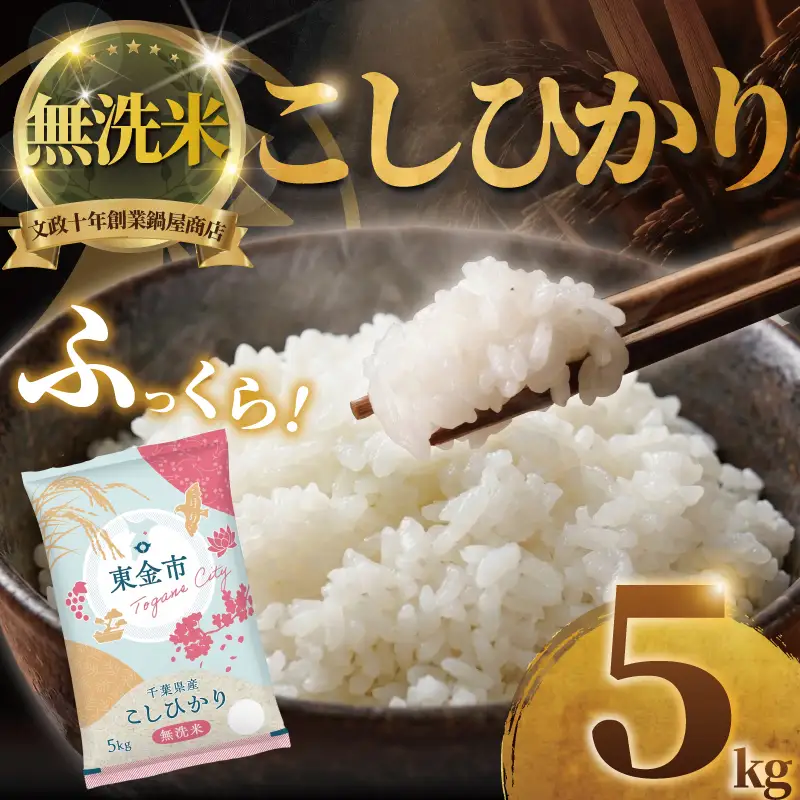 無洗米 コシヒカリ 5kg 令和7年産 精米 コシヒカリ
