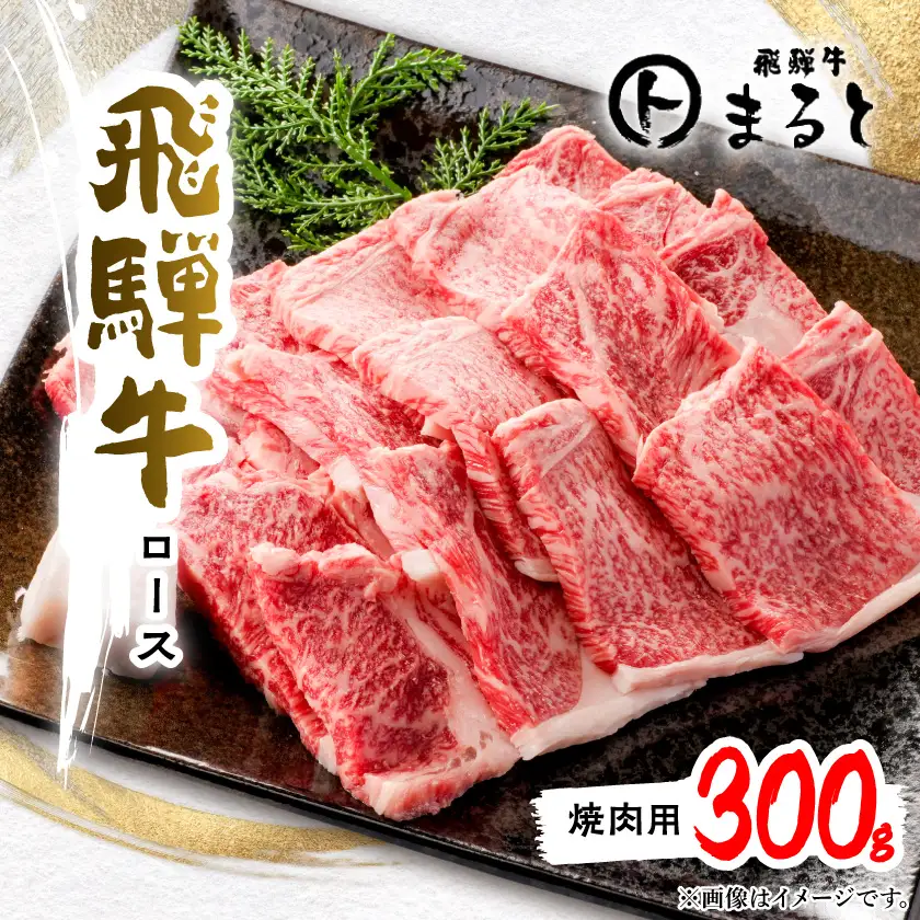 【飛騨牛】特選ロース焼肉　計300g【配送不可地域：離島】【1758680】