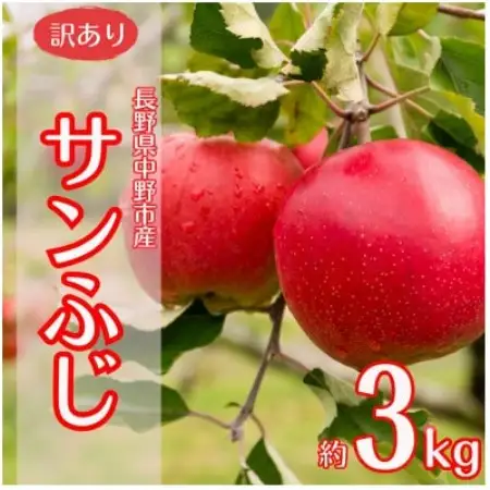 【訳あり】産地直送　信州りんご(サンふじ)3kg (ご家庭用)【1760563】