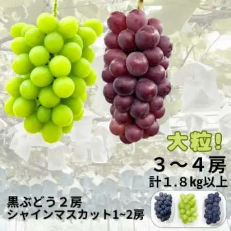 【先行受付】大粒ぶどう3～4房　合計1.8Kg以上(黒ぶどう2房+シャインマスカット1～2房)【配送不可地域：離島】【1762504】