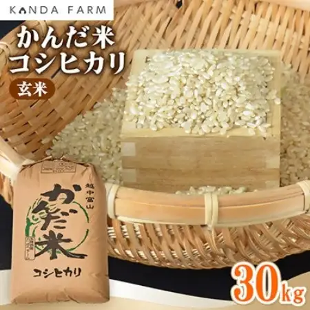 【令和8年産】　かんだ米『コシヒカリ』玄米　30kg×1袋【1760443】