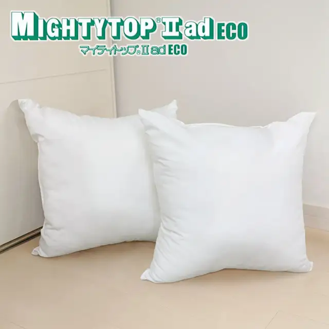 ヌード 中材 背当クッション 帝人 防ダニ 抗菌防臭2個セット_【G0813】