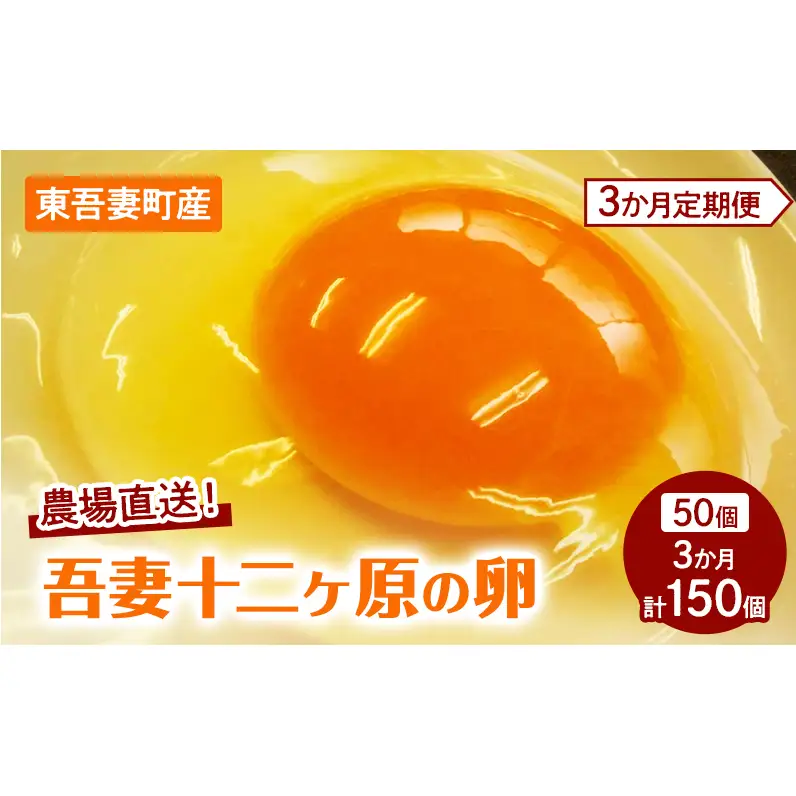 卵吾妻十二ヶ原の卵堀田養鶏場卵【50個】【定期便3ヶ月】