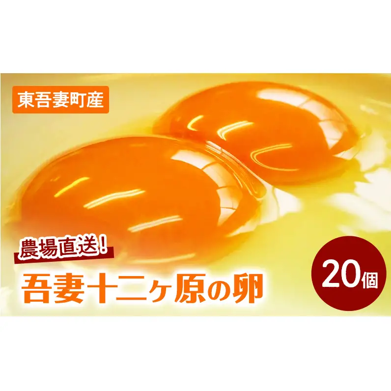 卵吾妻十二ヶ原の卵堀田養鶏場二黄卵卵【20個】