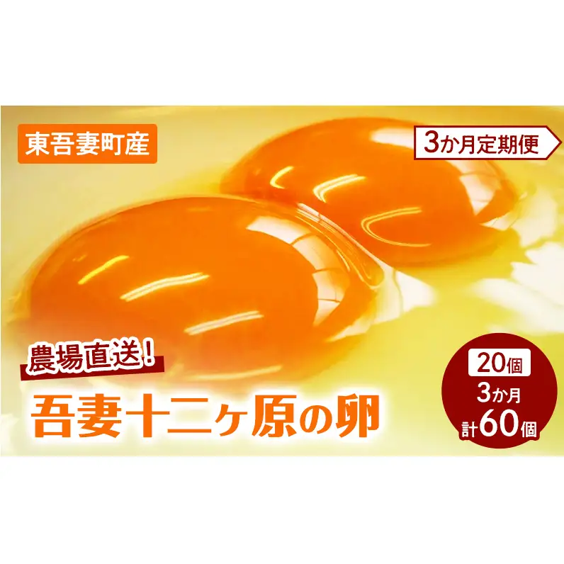 卵吾妻十二ヶ原の卵堀田養鶏場二黄卵卵【20個】【定期便3ヶ月】