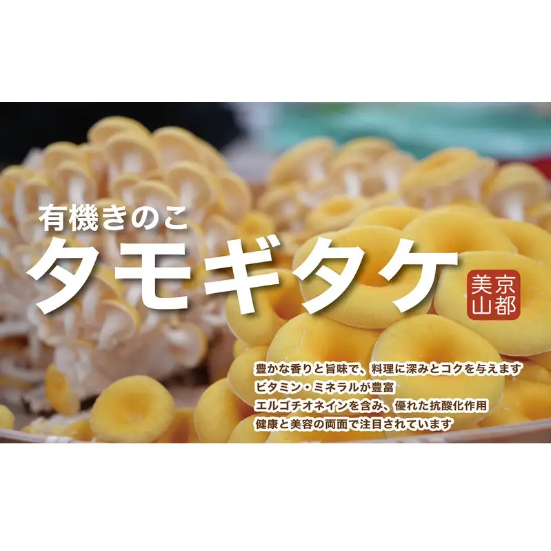 タモギタケ 有機JAS 720g 6パック タモギタケ