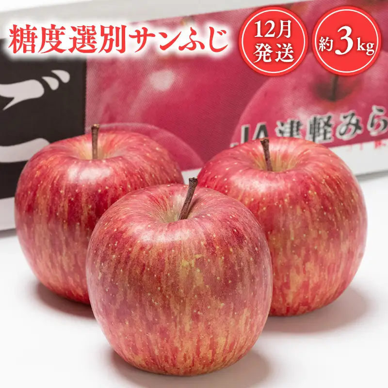りんご 糖度選別サンふじ 約3kg りんご