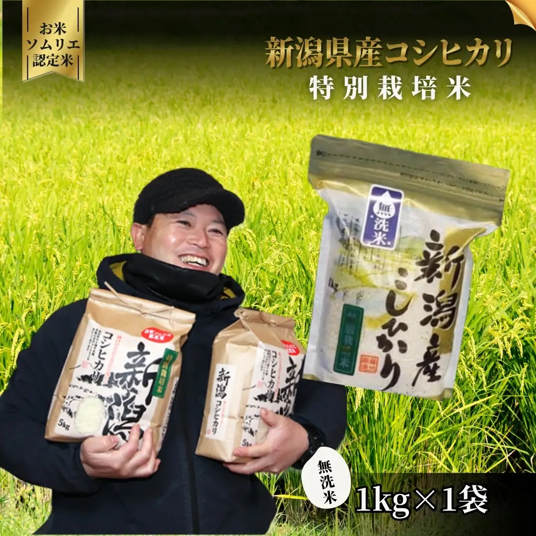 【令和8年産】無洗米 コシヒカリ 1kg 特別栽培 お試し 新潟県産｜無洗米 こしひかり しんのすけ