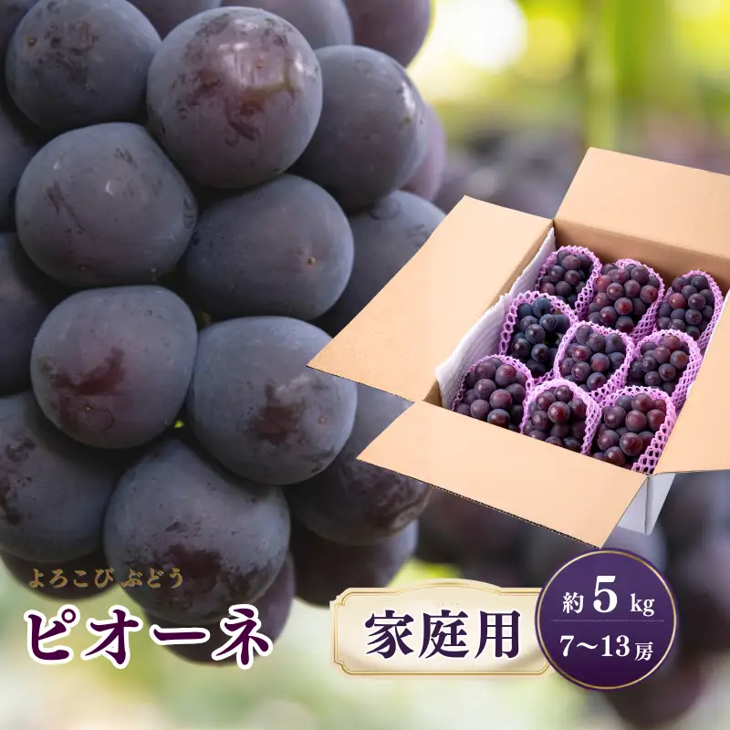 【家庭用】 もりおか農園のよろこびぶどう ピオーネ 約5kg 7～13房 【先行予約 2026年9月上旬から順次発送】