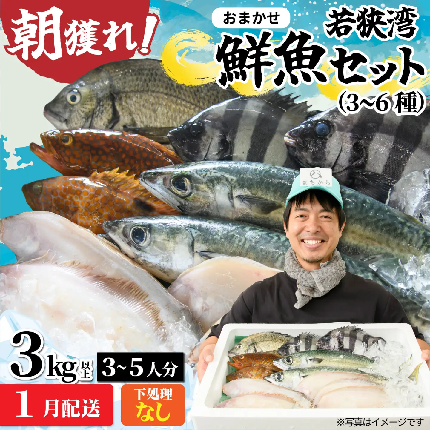若狭湾鮮魚セット（下処理なし）おまかせ3kg以上（3～6魚種）【1月配送】  