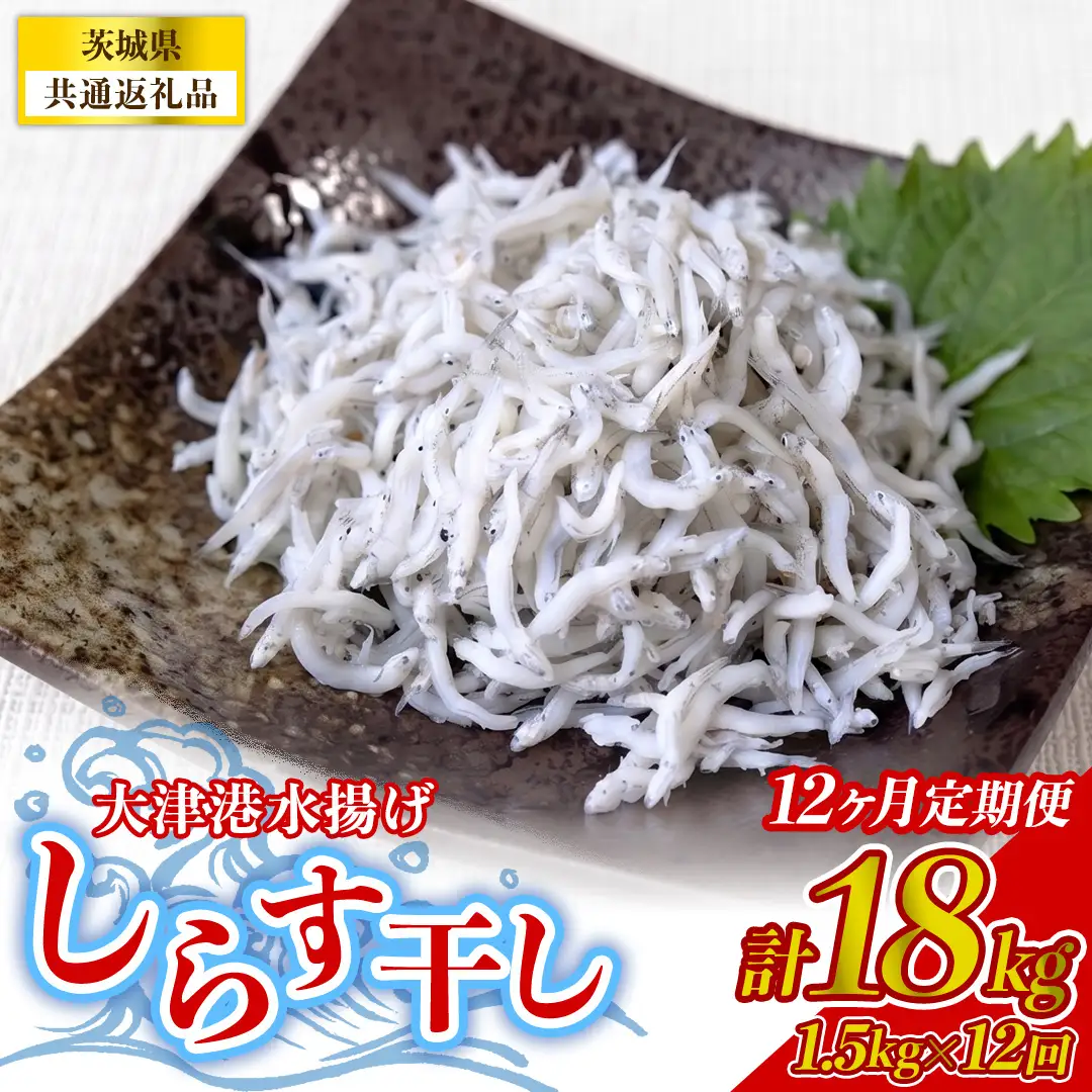 【12回定期便】大津港水揚げしらす干し 1.5kg(250g×2パック×3箱) (茨城県共通返礼品:北茨城市)  [BC019]
