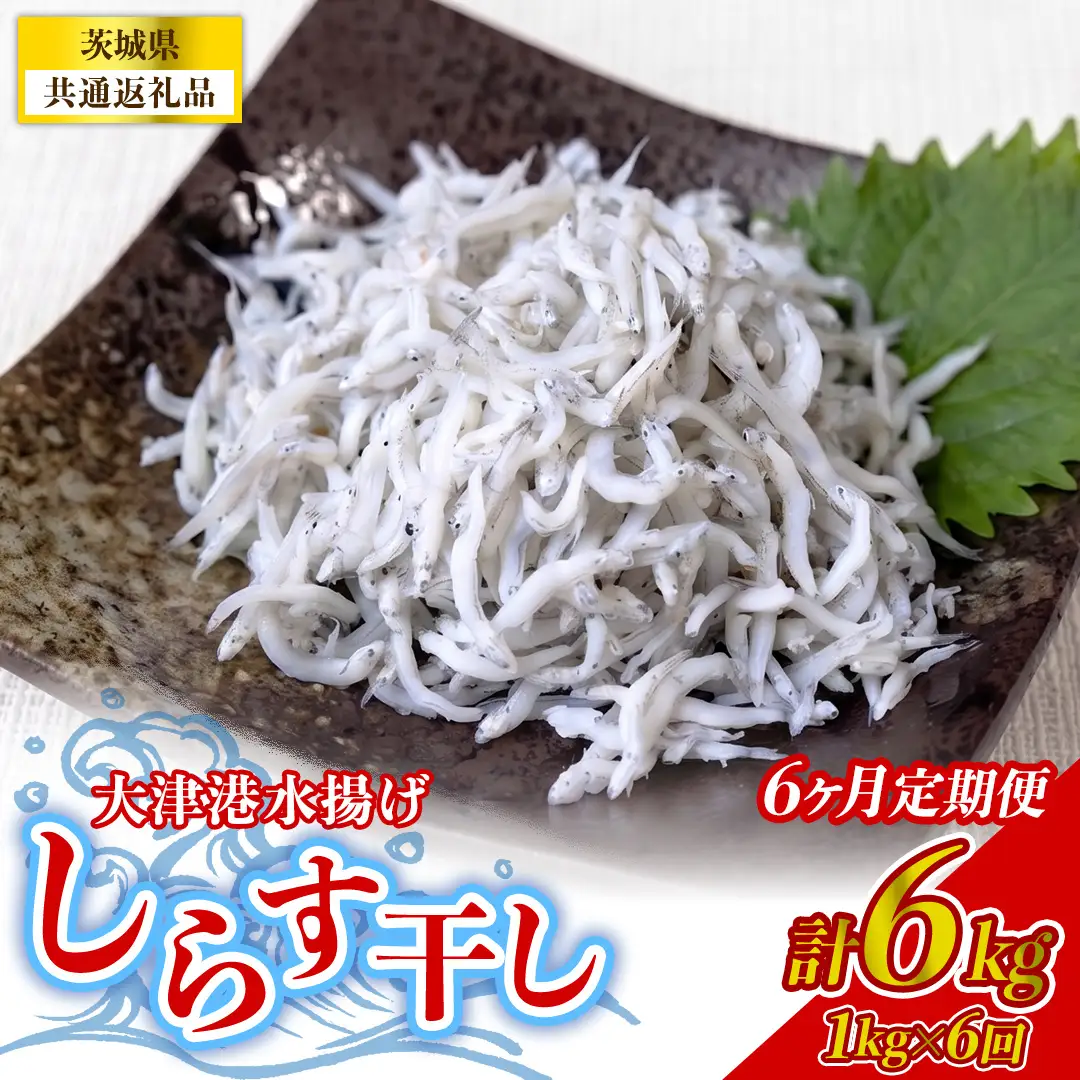 【6回定期便】大津港水揚げしらす干し 1kg(250g×2パック×2箱) (茨城県共通返礼品:北茨城市)  [BC015]