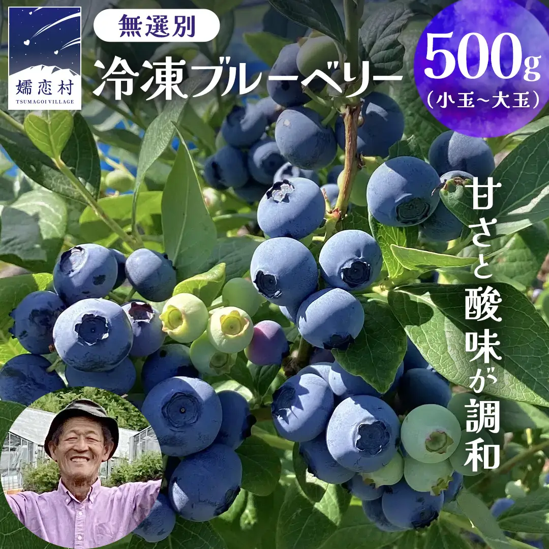 【 最短 7日以内 発送 】 冷凍 ブルーベリー 無選別（ 小玉 ～ 大玉 ） 500g 数量限定 国産 フルーツ スムージー 果物 くだもの 農家直送 スイーツ アイス ノーザンハイブッシュ系 ミックス [AT012tu]