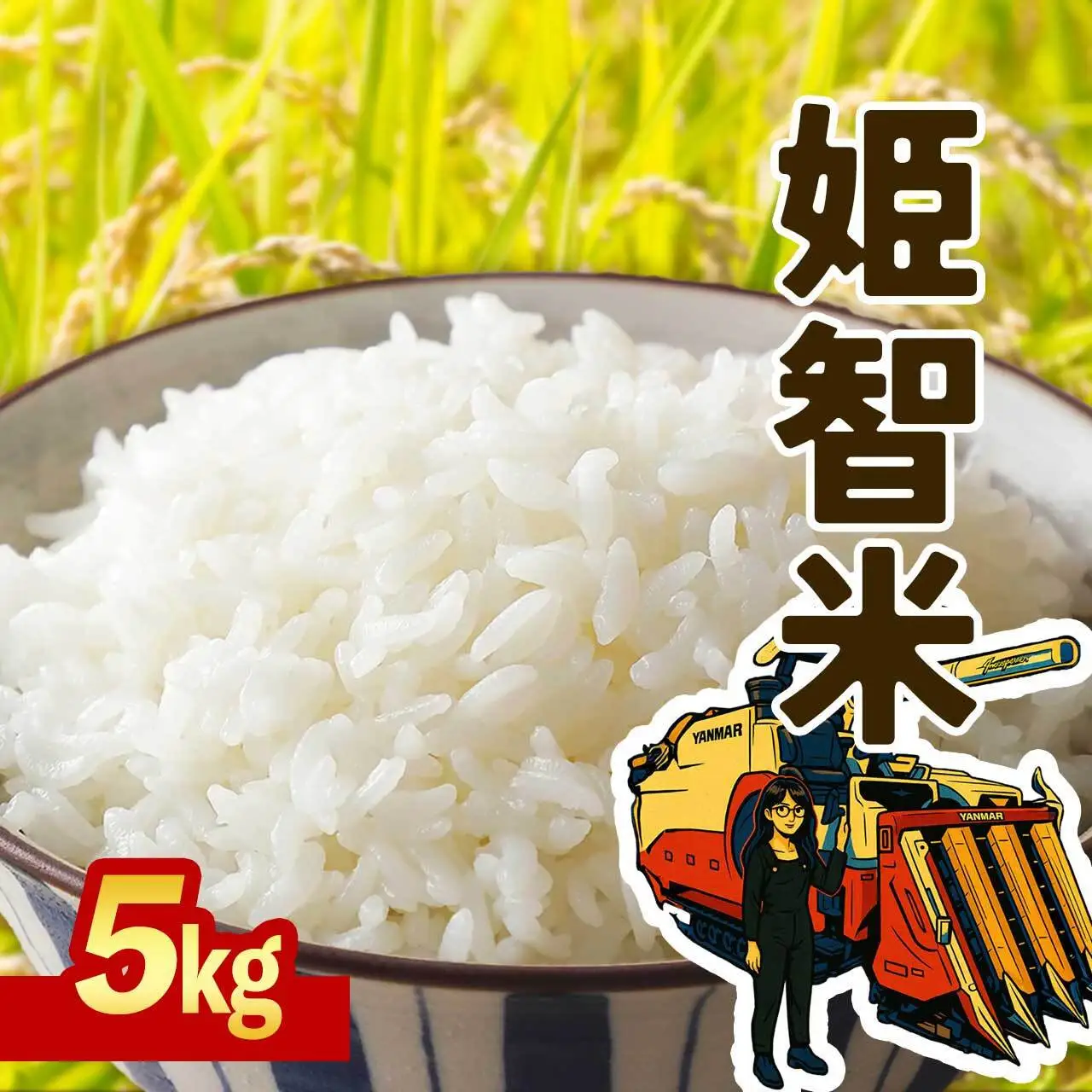 令和8年産 新米先行受付 なつほのか 5kg  智子さんの姫智米 精米