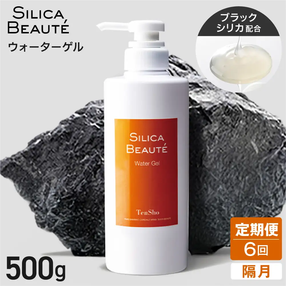 【定期便6回・隔月】シリカボーテ　ウォーターゲル500g | 化粧水 ゲル 保湿 スキンケア 美容 北海道 札幌市