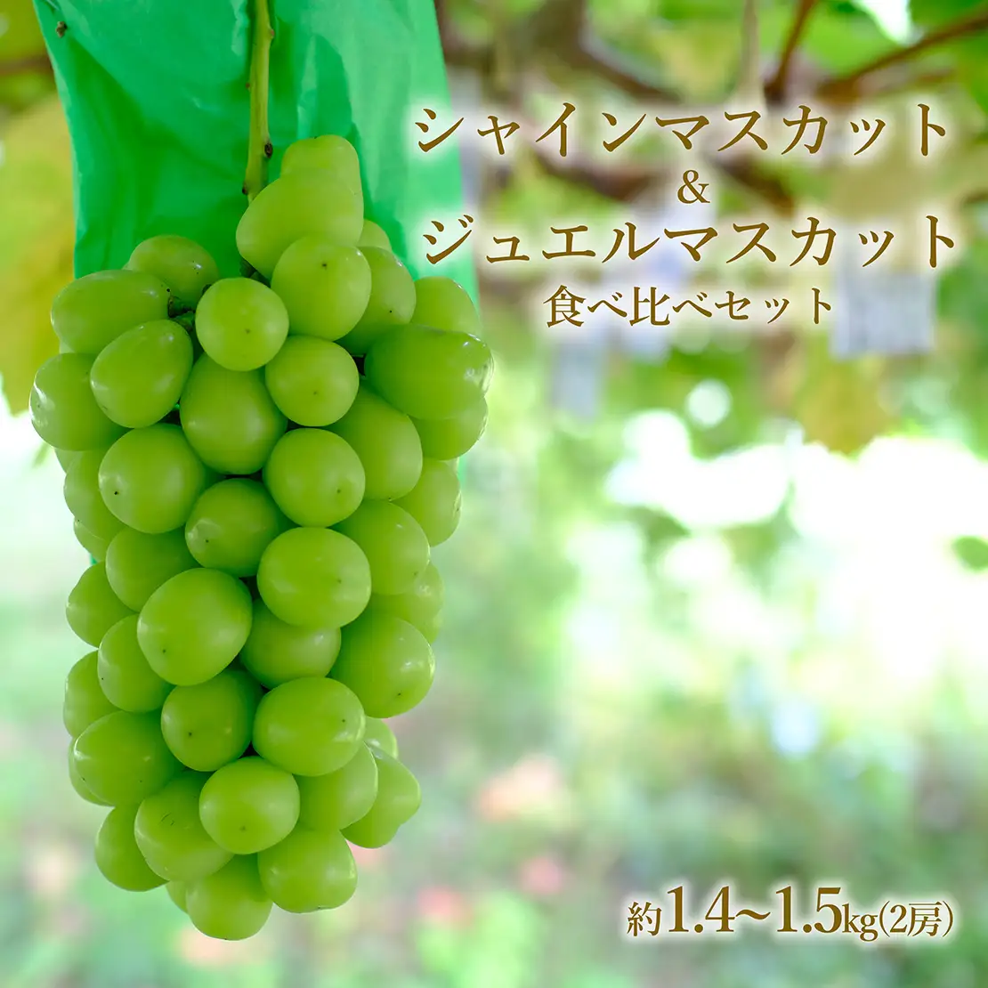 食品 カニエビさん専用！シャインマスカット