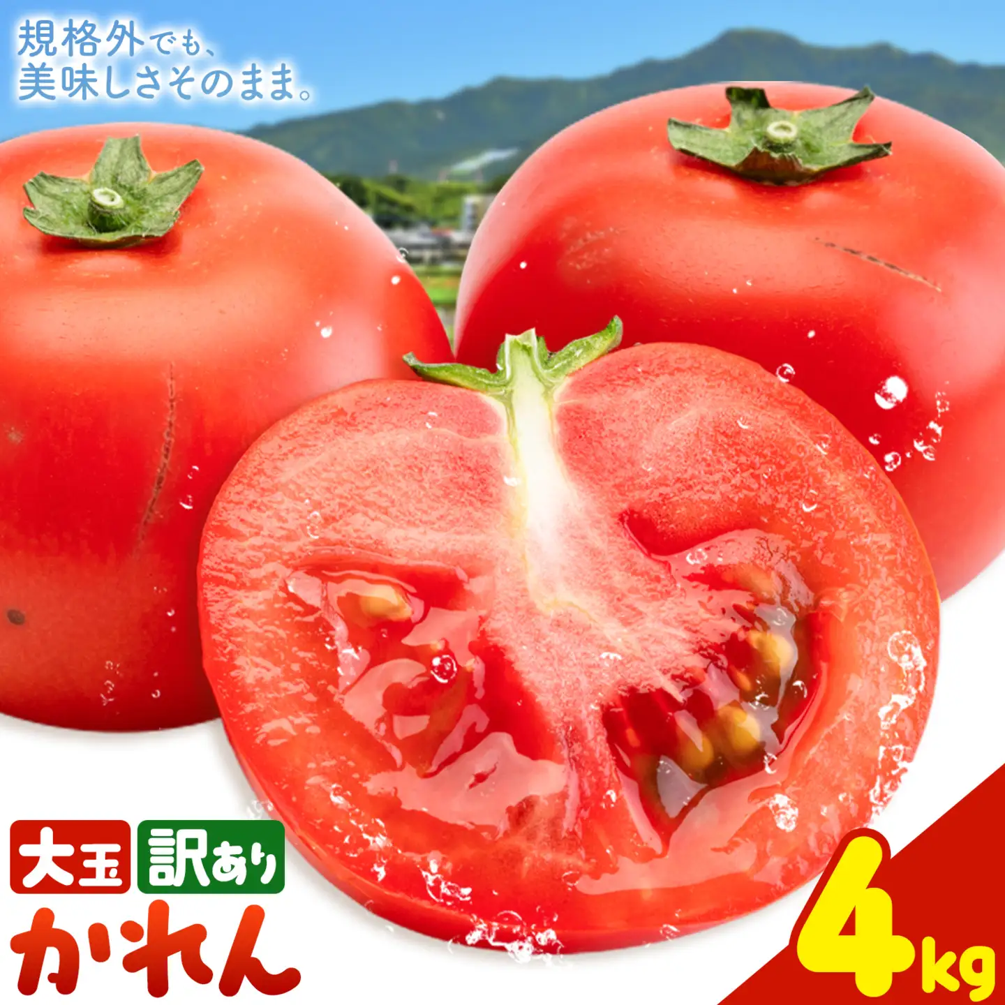 【大津アグリラボ】大玉トマト かれん 訳あり 約4kg 株式会社中九州クボタ《10月上旬-6月下旬頃出荷》熊本県 大津町 トマト 大玉 野菜 訳アリ ご家庭用 傷あり サイズ 不揃い 規格外