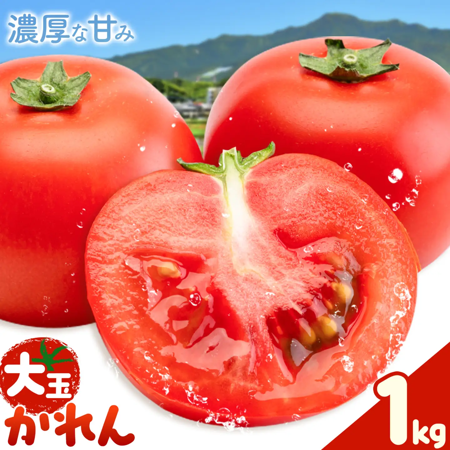 【大津アグリラボ】大玉トマト かれん 約1kg 株式会社中九州クボタ《10月上旬-6月下旬頃出荷》熊本県 大津町 トマト 大玉 野菜