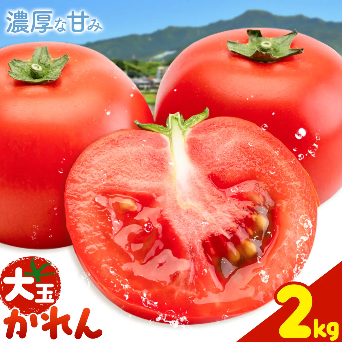 【大津アグリラボ】大玉トマト かれん 約2kg 株式会社中九州クボタ《10月上旬-6月下旬頃出荷》熊本県 大津町 トマト 大玉 野菜