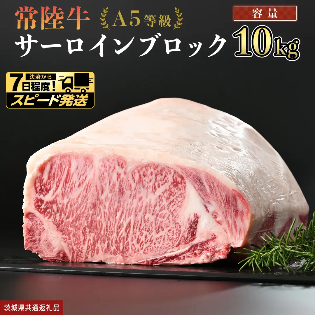 【 スピード発送 】【 常陸牛 】 A5等級 サーロイン ブロック 10kg (茨城県共通返礼品) 牛肉 ステーキ 国産