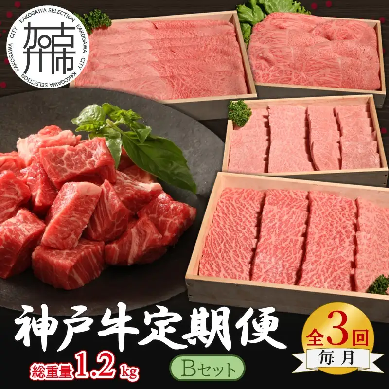 神戸牛定期便 B 【全3回】【165018A001】