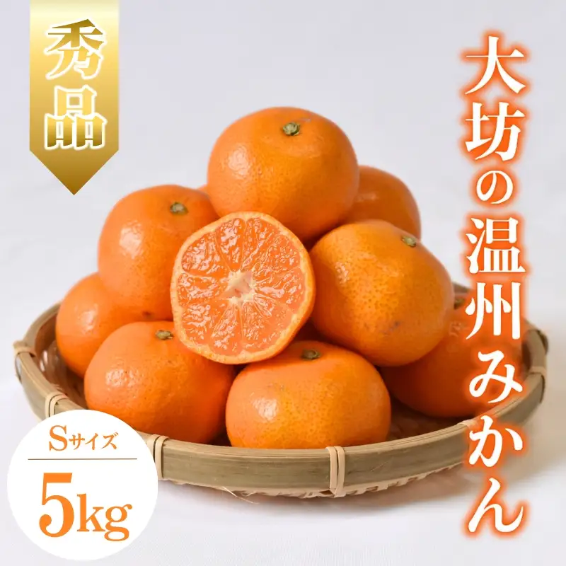 2027年分先行予約】大坊の温州みかん 5kg（Sサイズ） ※2027年11月中旬
