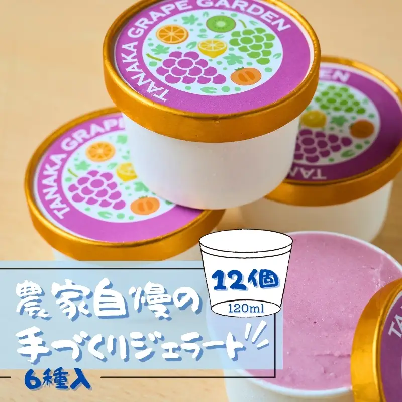 フルーツのジェラート6種セット 各120ml 12個