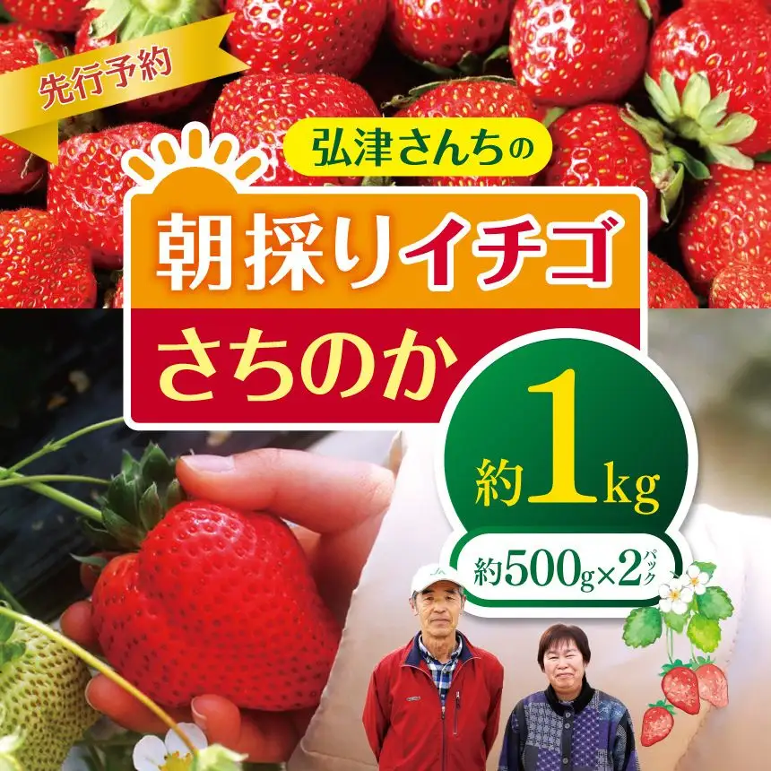 【先行予約】弘津さんちの朝採りイチゴ さちのか約1㎏ ※令和9年1月中旬～3月発送