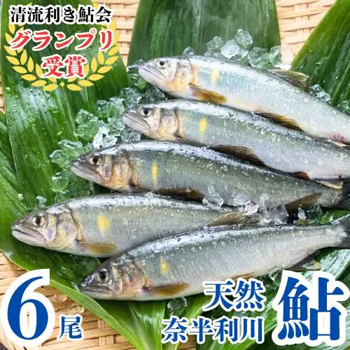 107011　奈半利川の天然アユ（冷凍）６尾