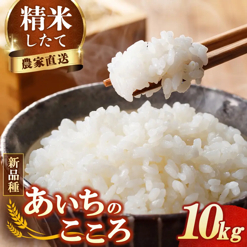 【先行予約】新米 令和8年産 あいちのこころ 10kg