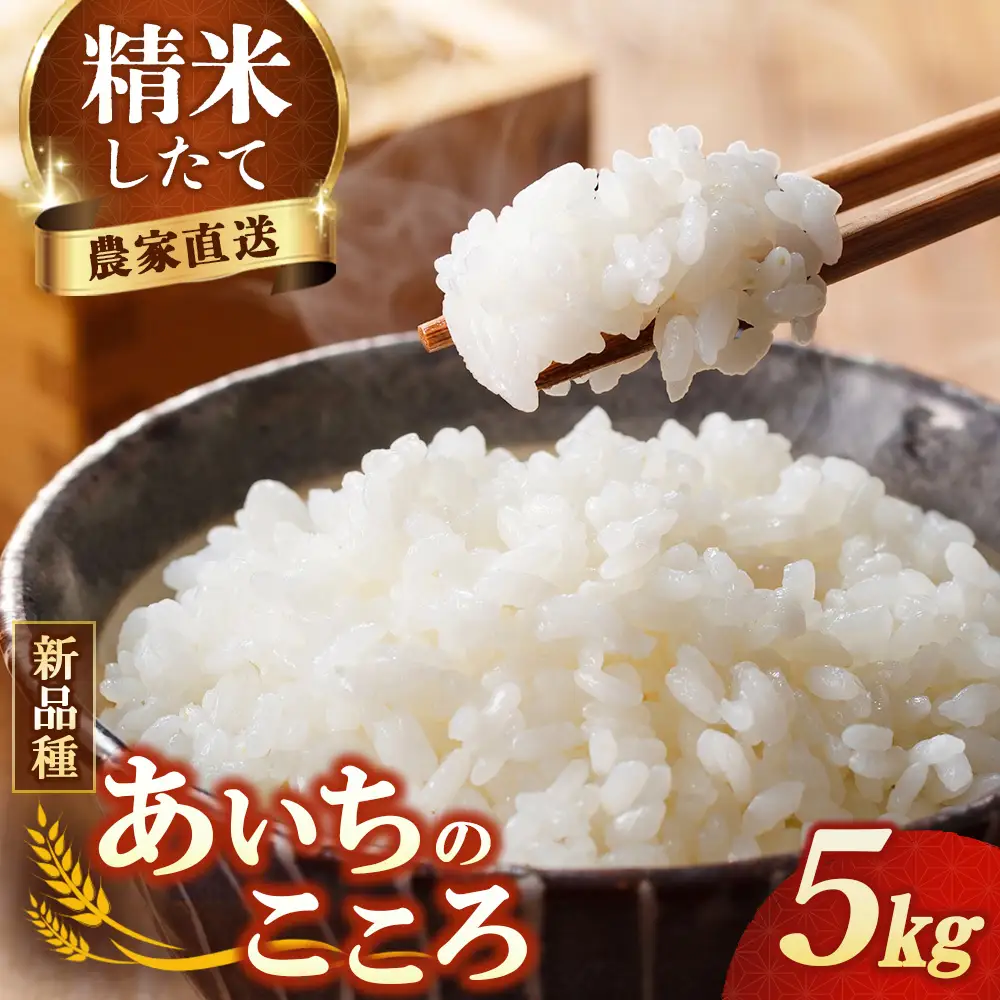 【先行予約】新米 令和8年産 あいちのこころ 5kg