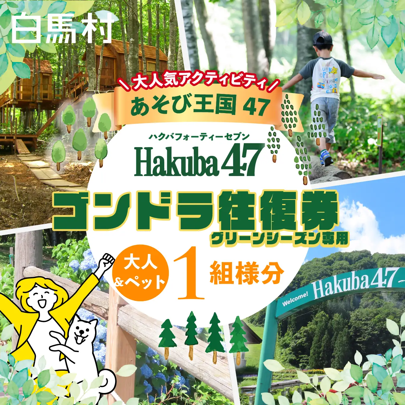 Hakuba47 ゴンドラ往復乗車券 大人1名様+ペット1匹