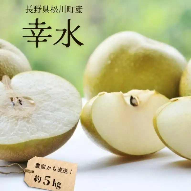 梨 幸水 約5kg（9～14玉） 松川町産 贈答／2026年8月中旬～配送 [KW08]//長野県 南信州 松川町 和梨 梨 なし ナシ 産地直送 農家直送 農家支援 贈答 幸水 果物 フルーツ