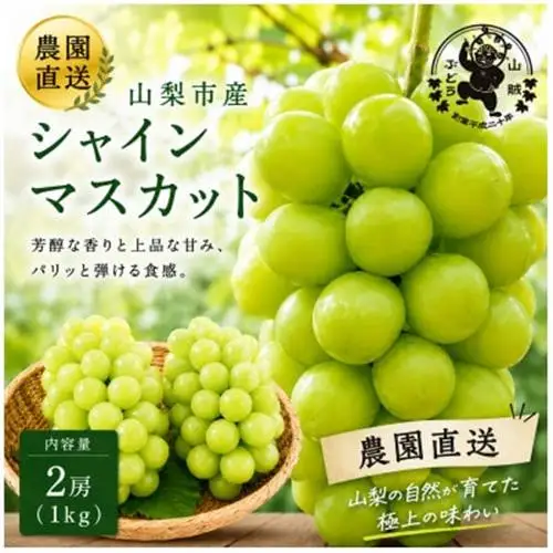 【2027年発送先行受付】山賊ぶどう シャインマスカット 2房(約1キロ)【配送不可地域：離島】【1761371】