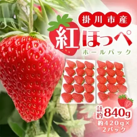【先行受付】総重量約840g【掛川市産】いちご・紅ほっぺ ホールパック　(2パック入)【配送不可地域：離島・北海道・沖縄県・四国・九州】【1635325】