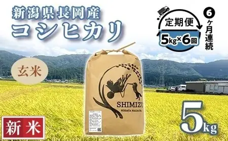 N5-8G056【6ヶ月連続お届け】新潟県長岡産コシヒカリ玄米5kg