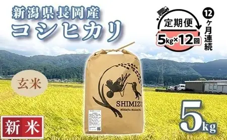 N5-8G05Z【12ヶ月連続お届け】新潟県長岡産コシヒカリ玄米5kg