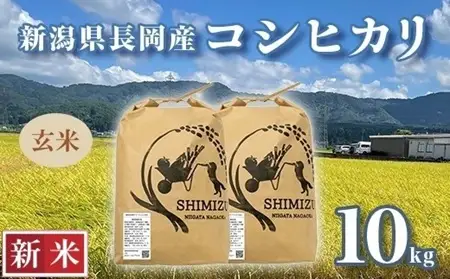 N5-8G101新潟県長岡産コシヒカリ玄米10kg