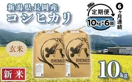 N5-8G106【6ヶ月連続お届け】新潟県長岡産コシヒカリ玄米10kg