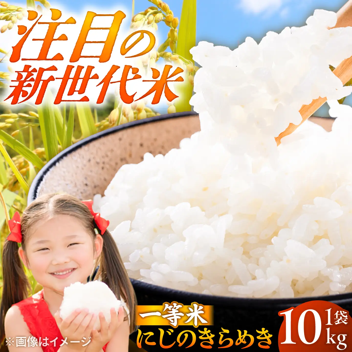 【先行予約 /10月下旬以降発送】にじのきらめき 米 10kg [BFAG031]