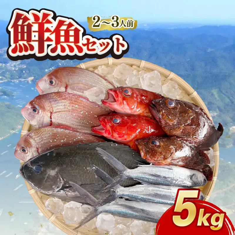 (冷蔵) おまかせ 鮮魚セット 2～3人前 鮮魚 海鮮 セット 海の幸 魚介 詰め合わせ 食べ比べ グルメ 魚 伊勢志摩 三重県 南伊勢町 丸池 18000円 20000円以下 2万円以下 二万円以下