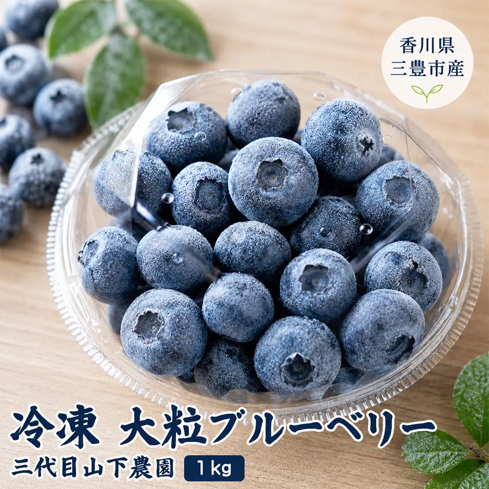 訳あり 冷凍 大粒ブルーベリー 1kg