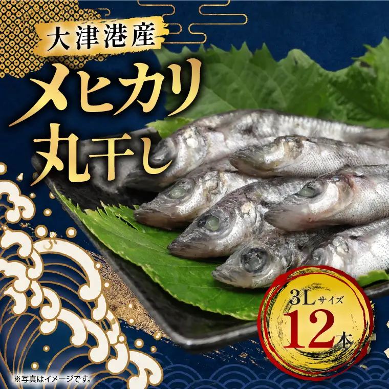 丸干し３Lめひかり(12本)【めひかり メヒカリ 3L 魚 海産物 茨城県 北茨城市 冷凍】（DM002） 4,615円