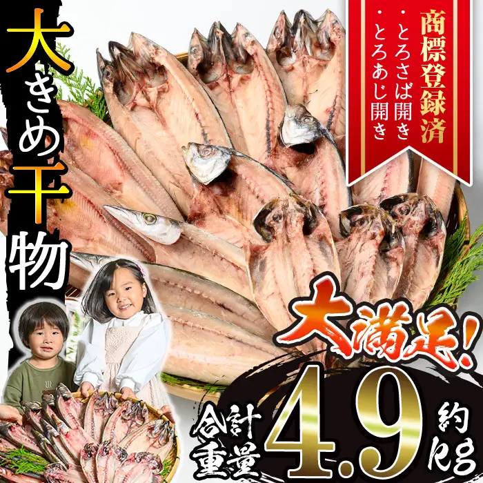 干物 あじ さば 詰め合わせ 約4.9kg 大きめ 干物 セット【みのだ食品】 No.406-C