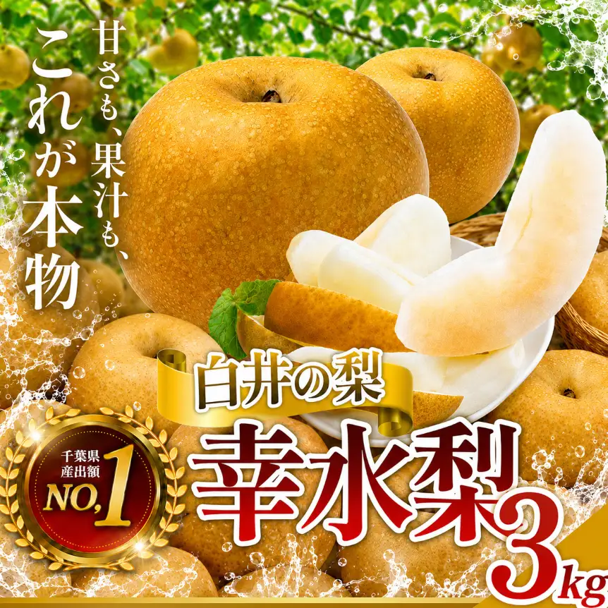 幸水3kg 贈答用