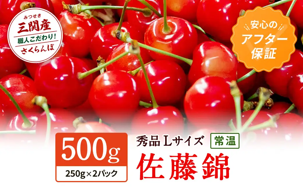 さくらんぼ 佐藤錦 500g 秀品L さくらんぼ [B3-15101]