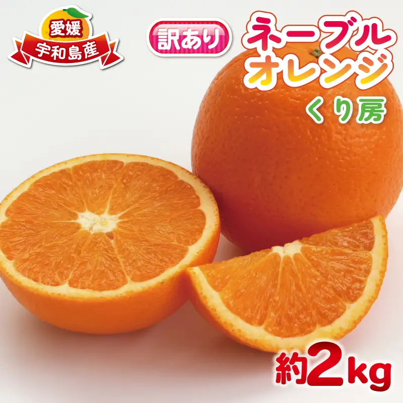 訳あり ネーブル オレンジ 約 2kg くり房 オレンジ B010-204008