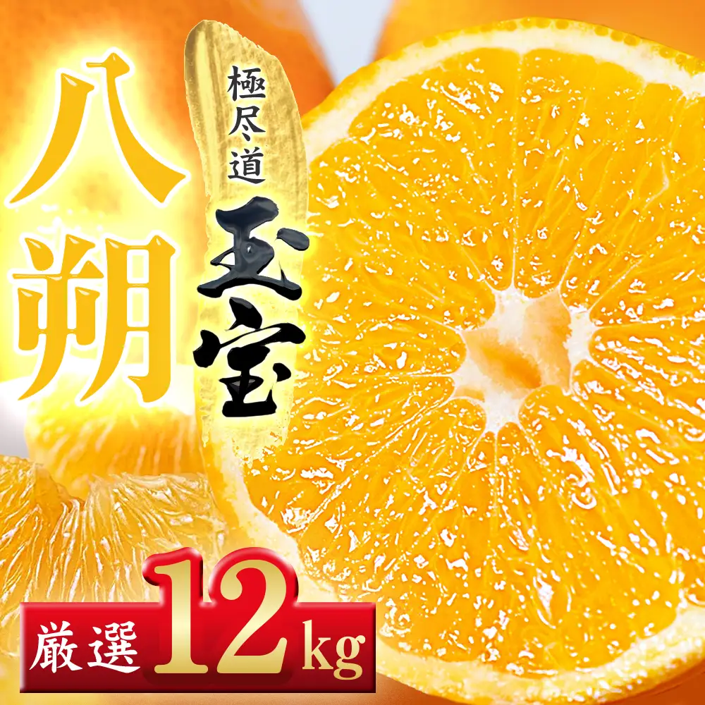 【先行受付】【凛とした苦み】クセになる旨み【八朔】12kg　愛媛県産【64-100】YWTY092