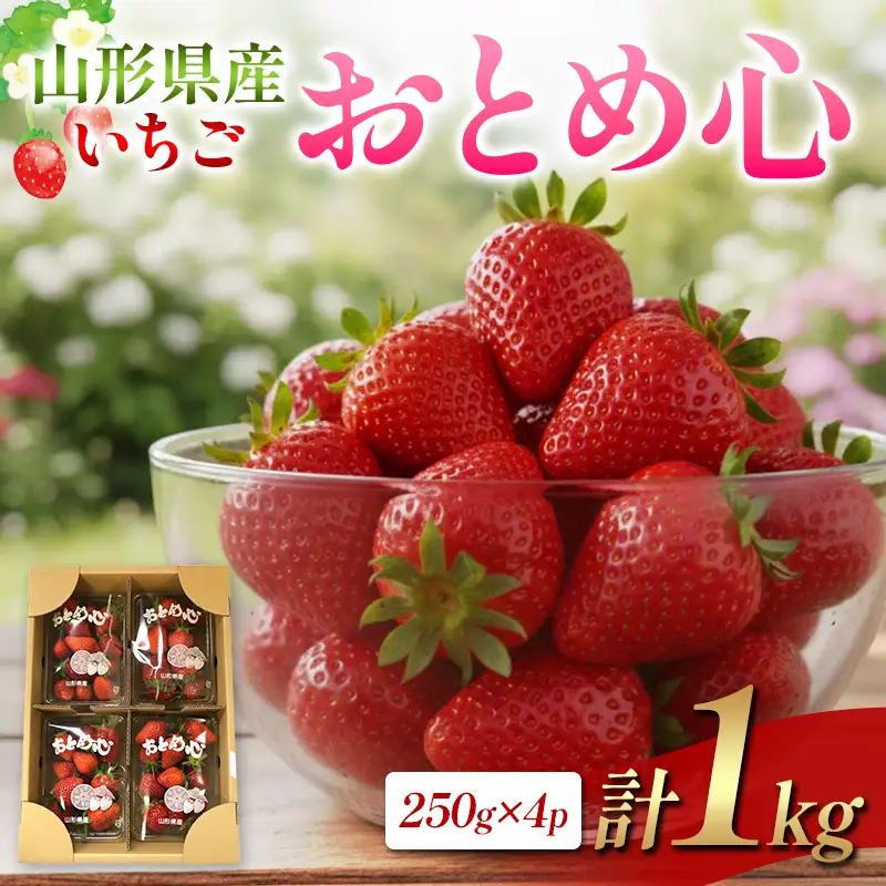 【2027年先行予約】山形県産 いちご・おとめ心 250g×4P FSY-2845